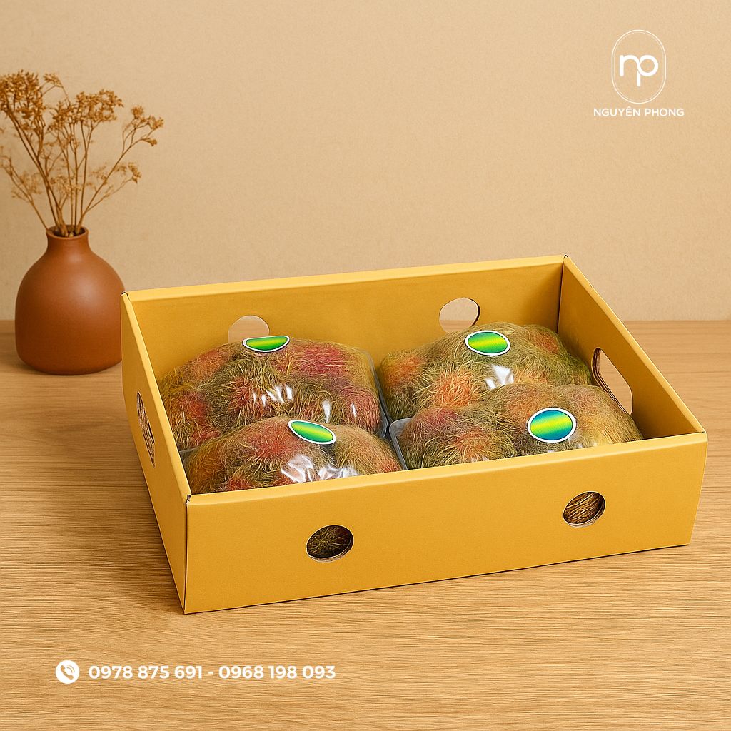 Thùng carton đựng chôm chôm đẹp